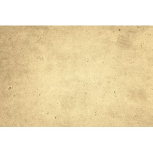 Gardinia Liftschleuse für Vorhangschienen Kunststoff