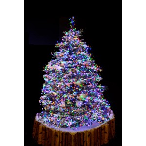 Geschmückter Weihnachtsbaum mit Konstsmide Micro LED-Lichterkette (576 bunte LEDs) für innen & außen.