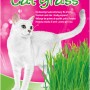 Vitakraft Katzengras 120g mit Katze. Frisches Gras für die Katze zur Unterstützung der Verdauung.