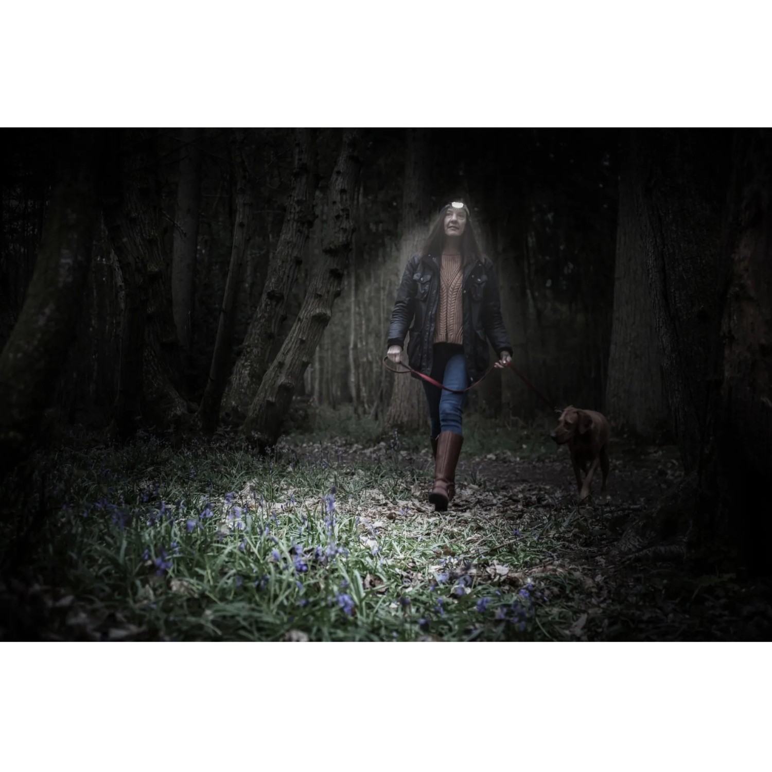 Frau mit Hund im Wald, beleuchtet durch Energizer Compact Sport Kopflampe.