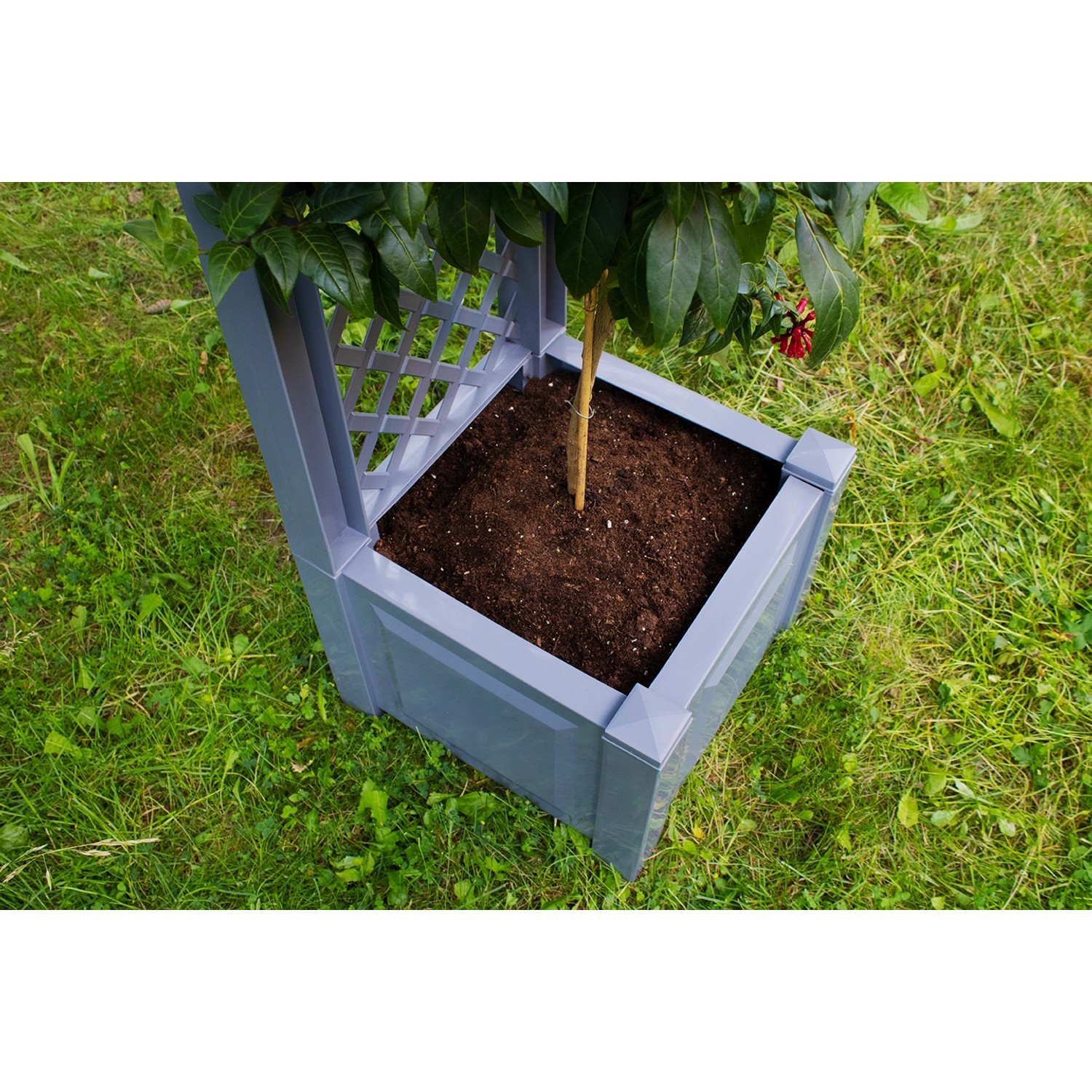 Kleiner, grauer KHW Pflanzkasten mit Spalier und Bepflanzung im Garten.