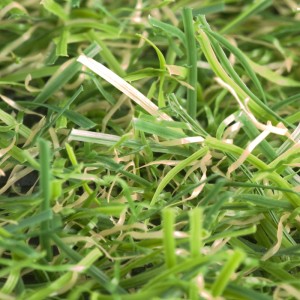 Detailaufnahme: Grüner InfinityGrass Kunstrasen Genus, ideal für Balkon und Terrasse.