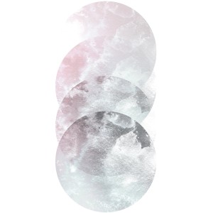 Komar Wandbild Tessera Calidum, 30x40 cm, mit abstrakten Kreisen in Rosa- und Grautönen.