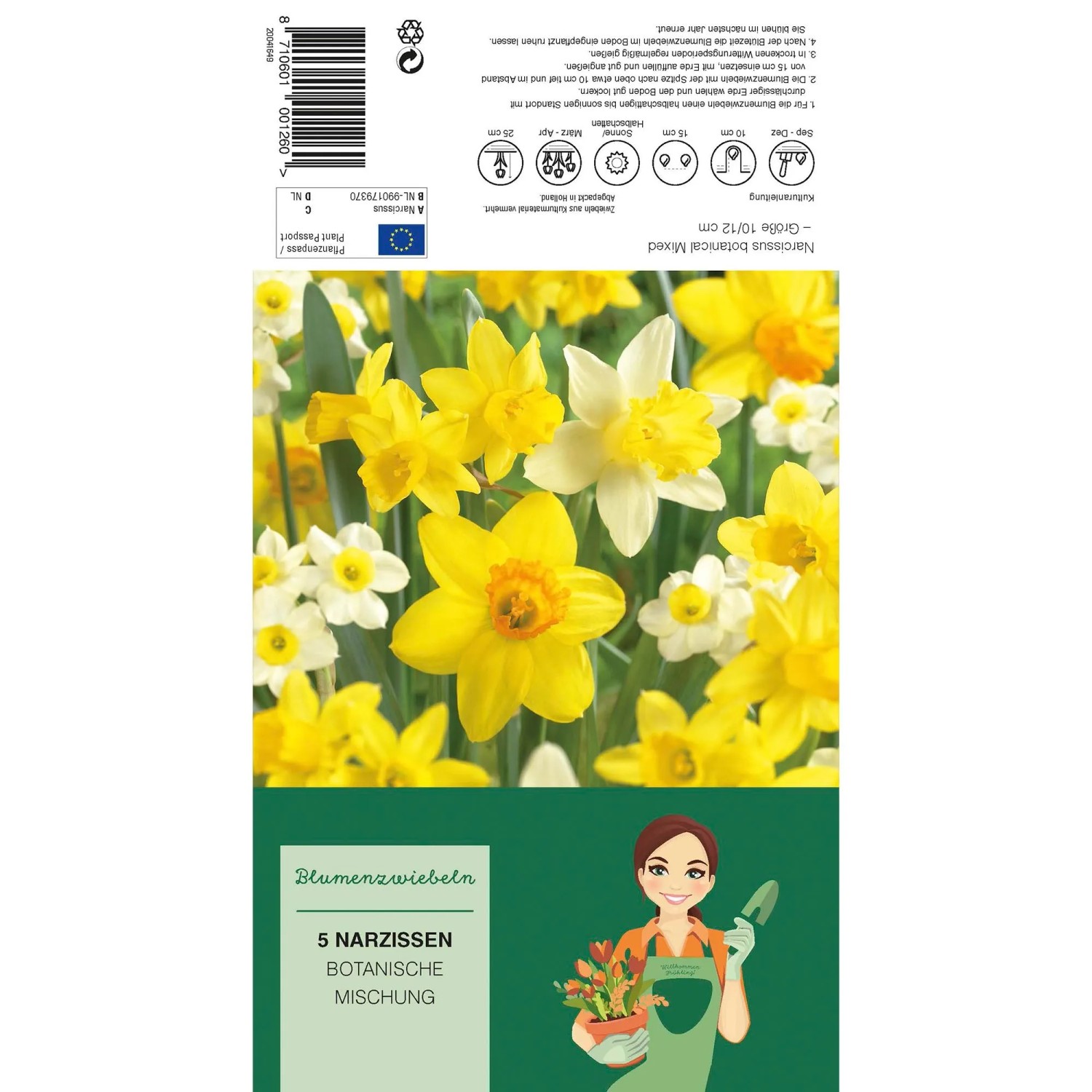 Botanische Narzissen-Mischung, verschiedene Farben und Formen.