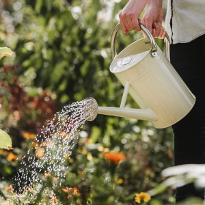 Cremefarbene Kent & Stowe Gießkanne (4,5 l) beim Bewässern von Blumen im Garten.