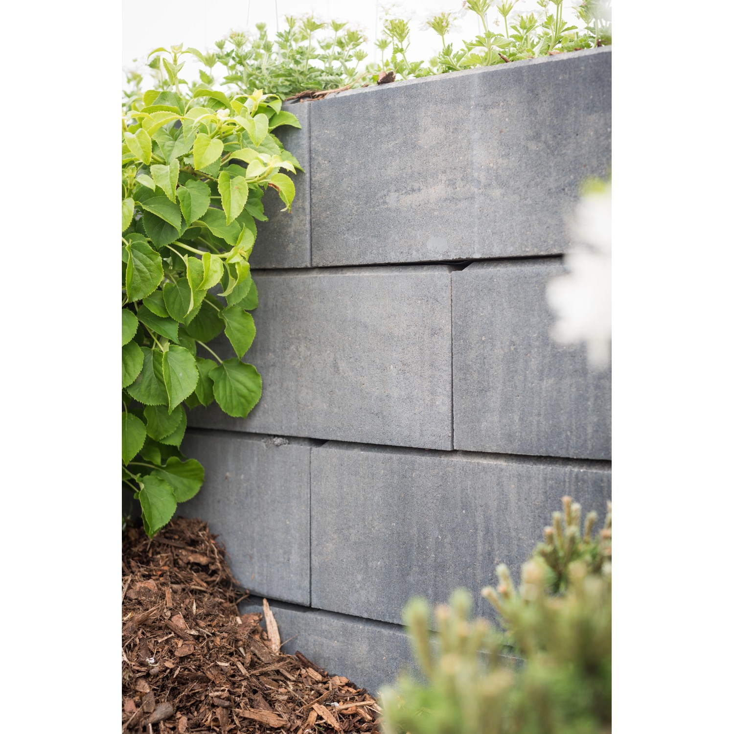 Gestapelte Diephaus Mileo Maxi Mauersteine Quarzit, bepflanzt. Gartenmauer.