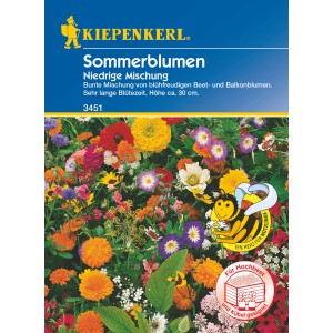 Kiepenkerl Blumenmischung "Niedrige Sommerblumen": Bunte, niedrige Sommerblumenmischung für Beet und Balkon.
