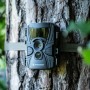 Bresser Wildkamera, 5-20 MP, am Baum befestigt. Ideal zur Tierbeobachtung und Überwachung.