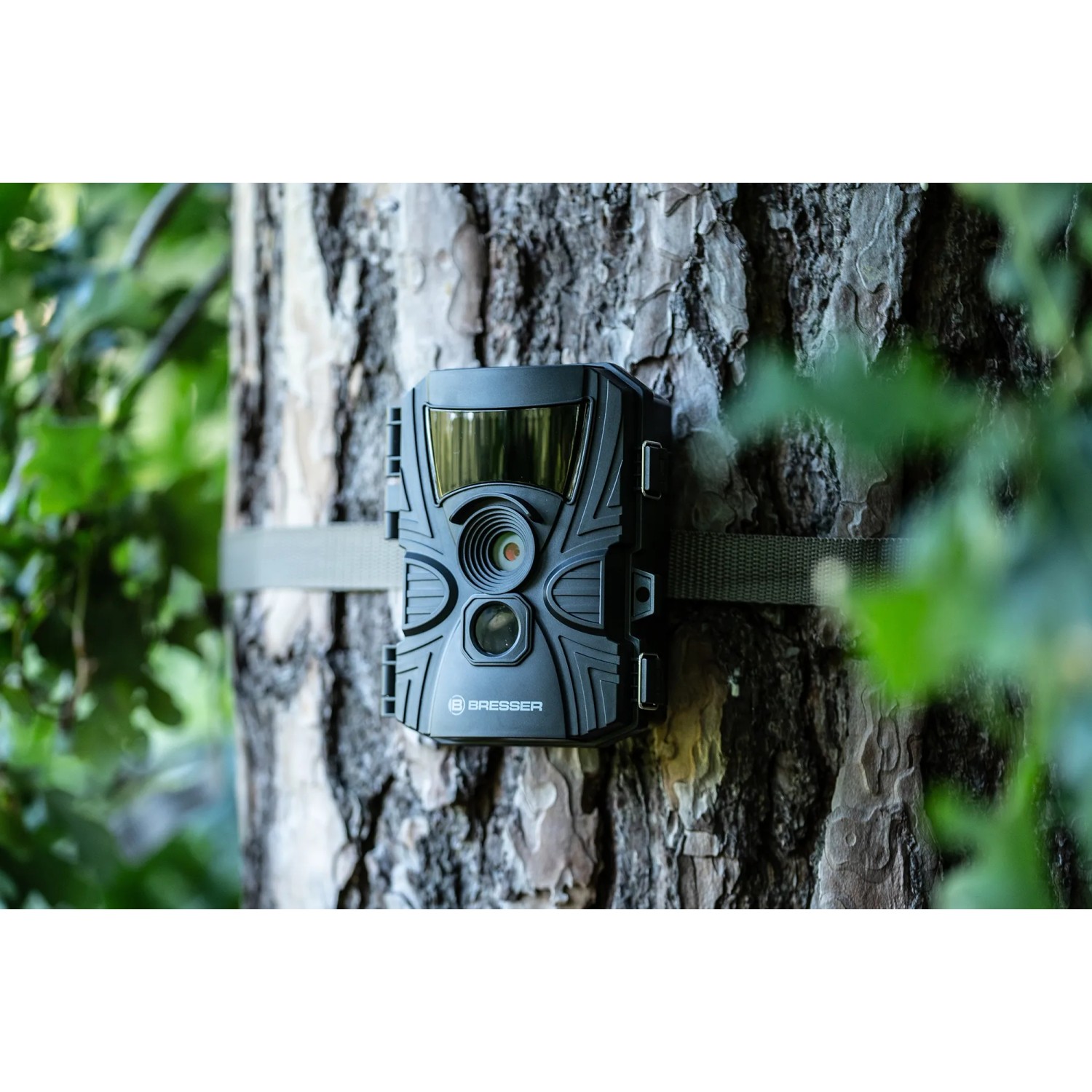 Bresser Wildkamera, 5-20 MP, am Baum befestigt. Ideal zur Tierbeobachtung und Überwachung.