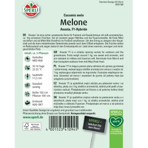 Sperli Zuckermelone Anasta F1-Hybride Samenpackung, resistent gegen Mehltau.