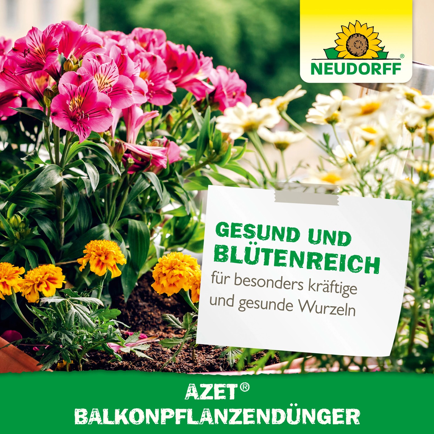 Neudorff Azet Balkonpflanzen-Dnger 750 g kaufen bei OBI