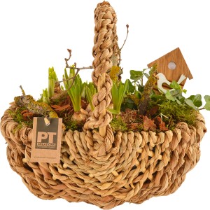 Frühlingsblüher Arrangement im Weidenkorb mit Deko-Vogelhaus, Topf-Ø 30cm.