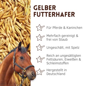 Gelber Futterhafer für Pferde, ungeschält, mit braunem Pferdekopf. Staubfreies Pferdefutter.