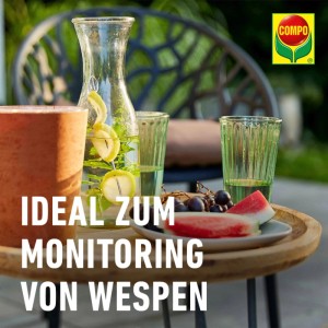 Compo Wespenfalle N: Tisch mit Getränken und Obst, ideal zur Wespenüberwachung.