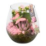 Zimmerpflanzen-Arrangement im Glasgefäß mit Kalanchoe, Echeverie, rosa Steinen und Deko-Schmetterling.