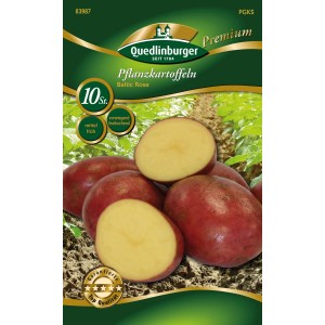 Quedlinburger Pflanzkartoffeln 'Baltic Rose', rotschalig, gelbfleischig, vorwiegend festkochend.