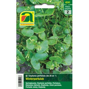 Austrosaat Winterportulak - Claytonia perfoliata