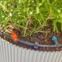 Gardena Tropfbewässerung Set für Terrasse: Detailaufnahme der Bewässerung von Topfpflanzen.