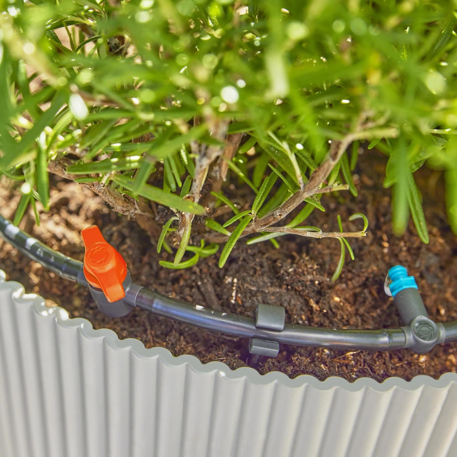 Gardena Tropfbewässerung Set für Terrasse: Detailaufnahme der Bewässerung von Topfpflanzen.