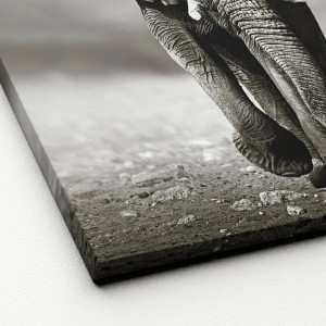 Graues Leinwandbild: Elefant Füße in Nahaufnahme, 40x40 cm. Wanddeko für Wohnräume.