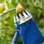 LUX Obstpflücker Classic beim Ernten einer Birne am Baum, Erntehelfer mit blauem Auffangsack.