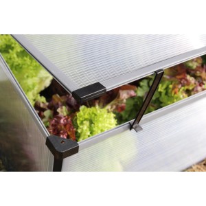 Pergart Frühbeet Levana 2 mit geöffnetem Deckel und Salatpflanzen.