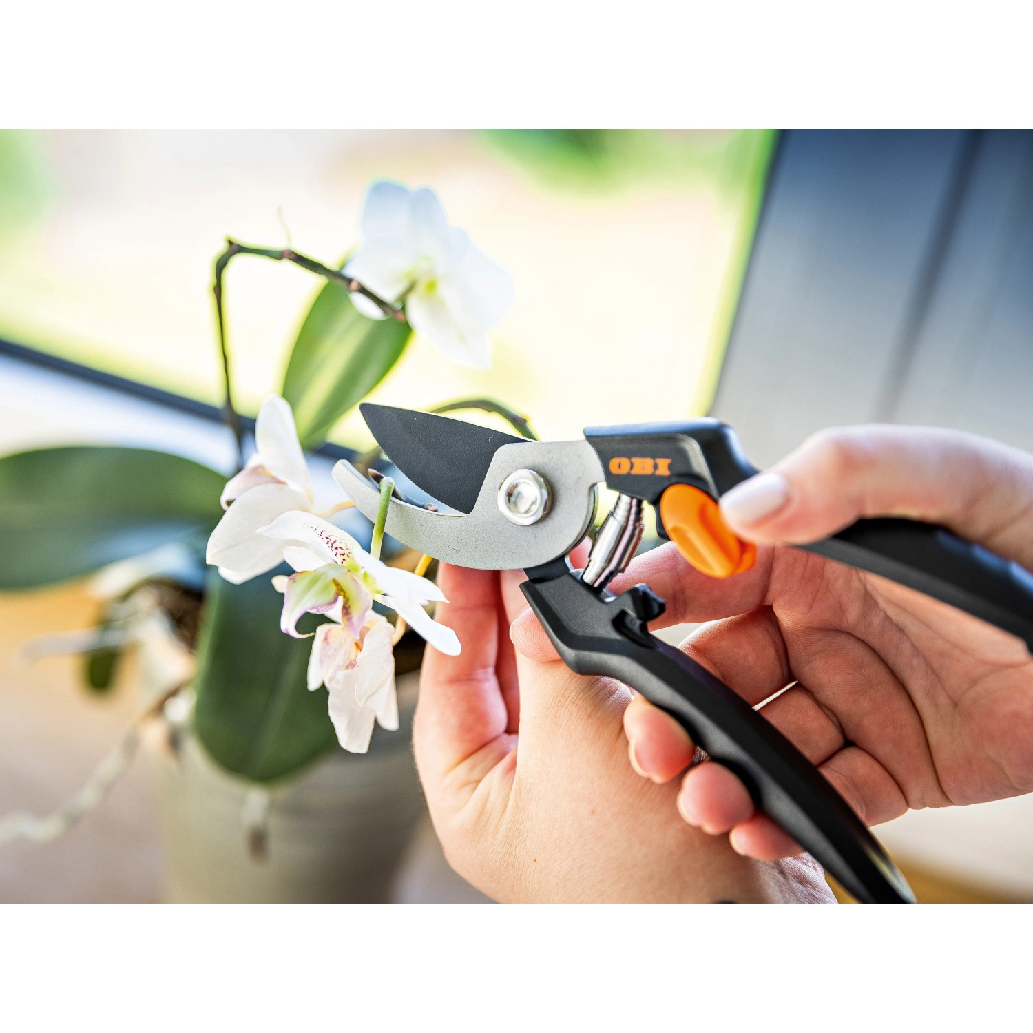 OBI Gartenschere im Einsatz beim Schneiden einer Orchidee, Bypass-System, Antihaftbeschichtung.