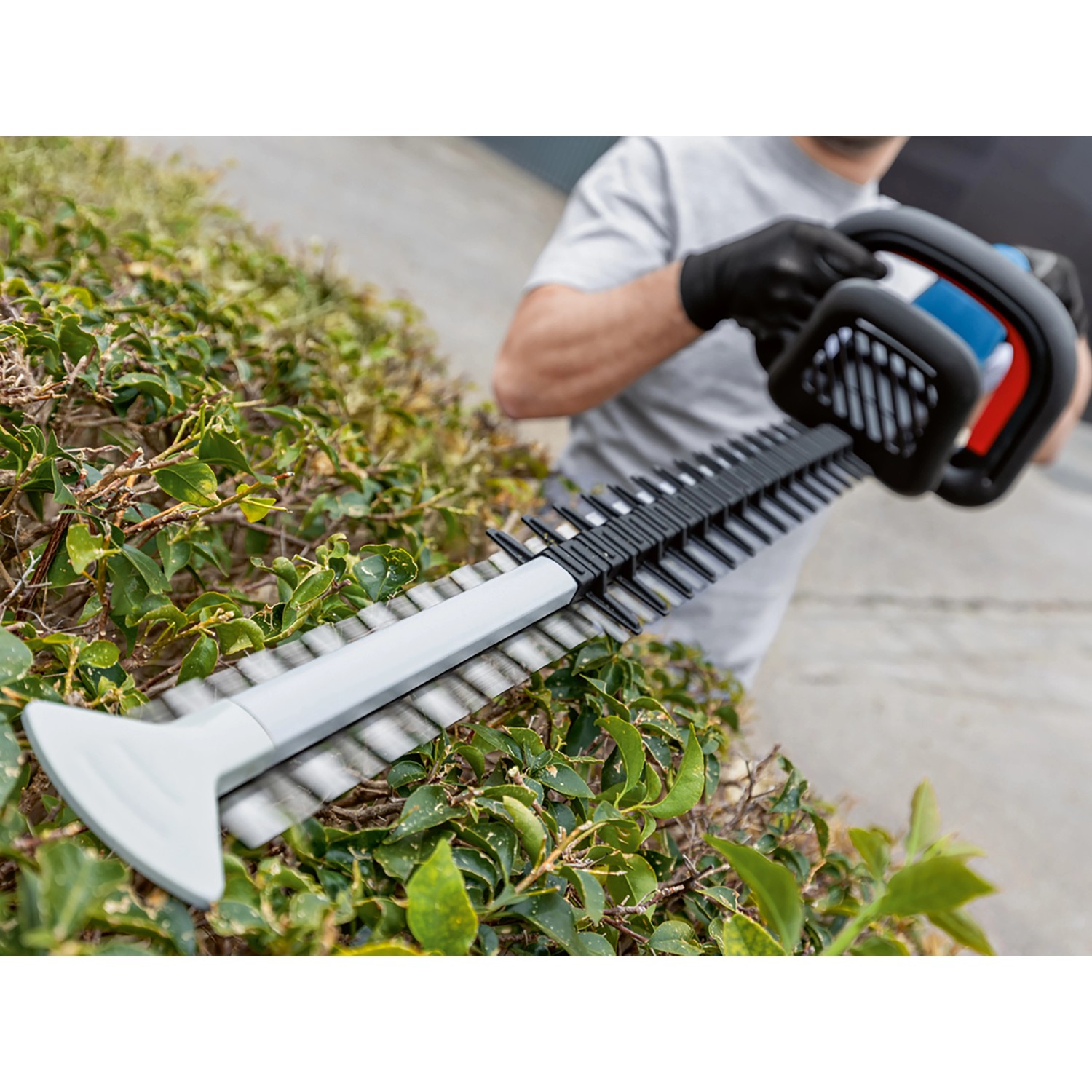 Bosch Professional AkkuHeckenschere GHE 18V60 Solo kaufen bei OBI