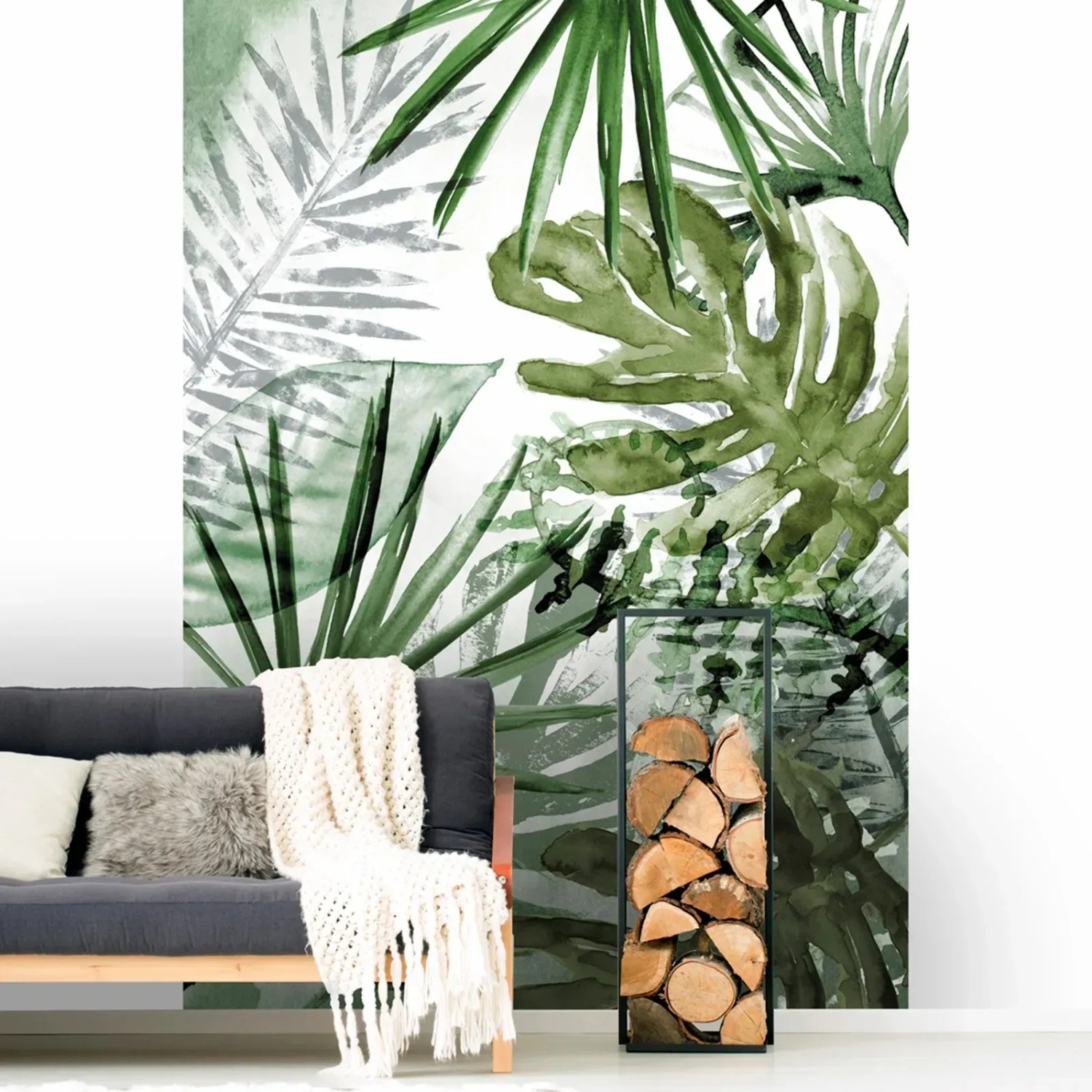 philodendron imperial Imperial Red Philodendron Rare Plant (Philodendron erubescens) – Jungle  Relics