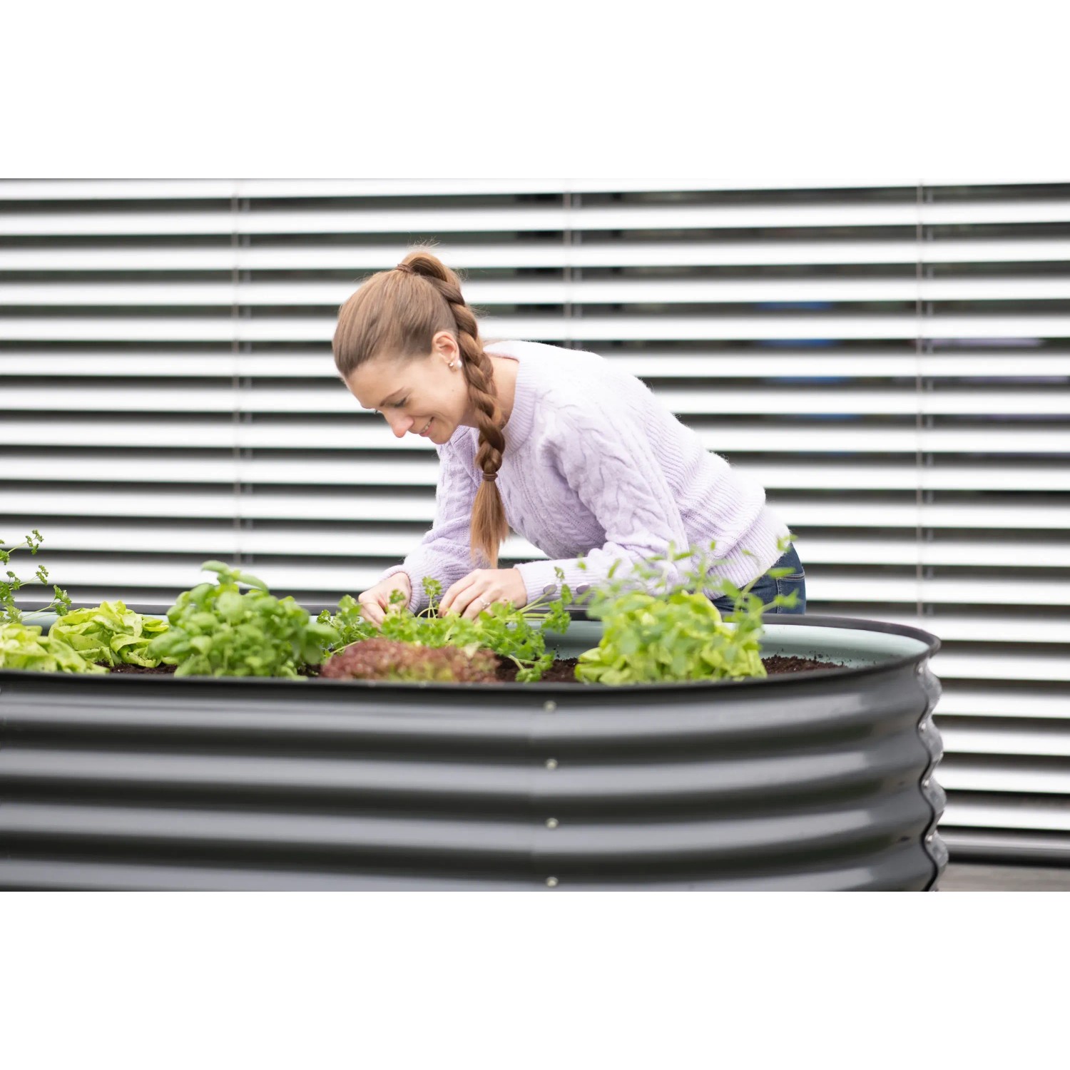Frau bepflanzt Westmann Hochbeet Oval Metall Anthrazit 160x80x82 cm mit Salat.