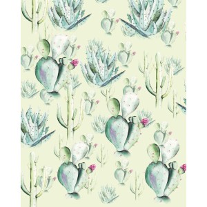 Komar Fototapete Vlies Cactus Green, 200x250 cm, mit Kakteen-Motiv.