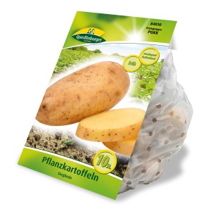 Quedlinburger Pflanzkartoffeln Sieglinde, vorwiegend festkochend, im Kleinpack.