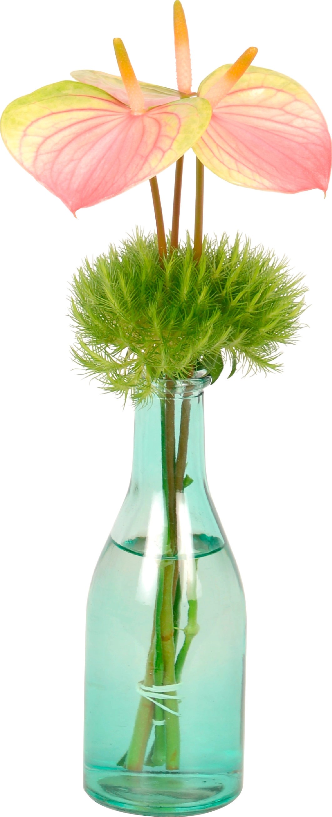 Glasflasche mit Anthurien Schnittblumen Arrangement kaufen bei OBI