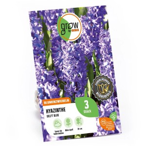 Verpackung GROW by OBI Hyazinthe Delft Blue, blaue Blüten, Blütezeit März-April.