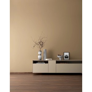 Wohnraum mit Wandfarbe in warmem Erdbraun. Schöner Wohnen Designfarben für ein gemütliches Ambiente.