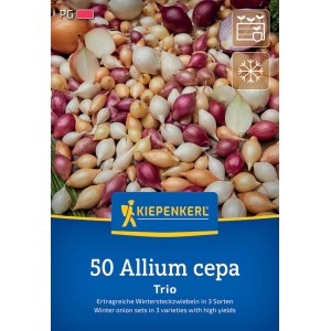 Kiepenkerl Wintersteckzwiebel Trio-Mix, 50 Stück: Rote, gelbe und weiße Steckzwiebeln.