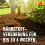Compo Bio Anzucht- und Kräutererde torffrei 10 l_4