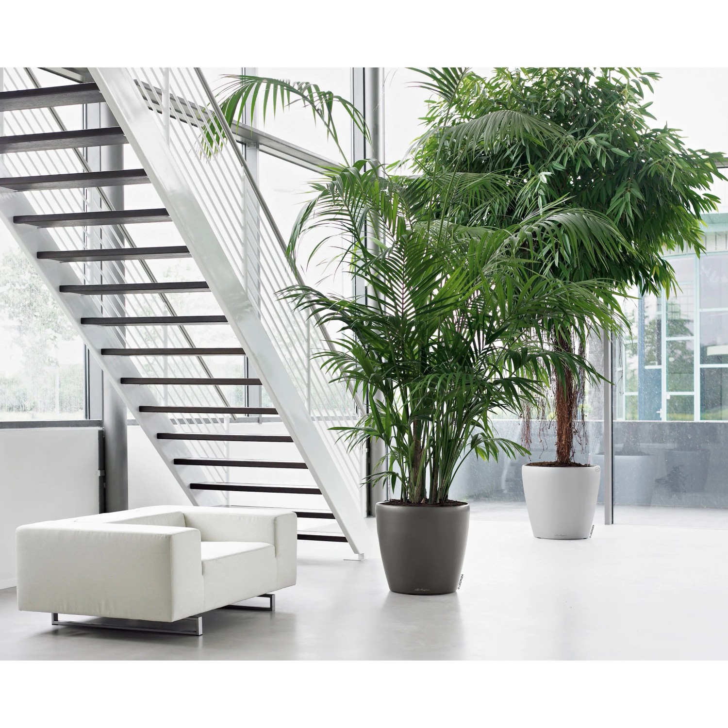 Lechuza Classico Premium Pflanzkübel, Ø 60 cm, anthrazit metallic, mit grünen Pflanzen im modernen Raum.