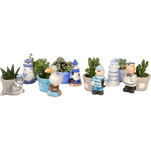 Arrangement mit kleinen Grünpflanzen in maritimen Keramiktöpfen (Topf-Ø ca. 6 cm) mit verschiedenen Motiven.