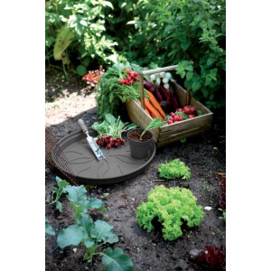 Elho Untersetzer Green Basics, Ø 14 cm, schwarz, mit Pflanze und Gemüse im Garten.