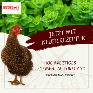 Braunes Huhn vor frischem Oregano. Supravit Legemehl für Hühner und Geflügel, hochwertige neue Rezeptur mit Oregano.