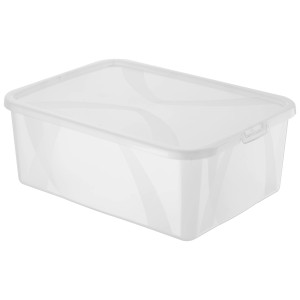 Transparente Rotho Clear Box Arco Men Shoe, 10 l, mit Deckel, ideal zur Aufbewahrung.