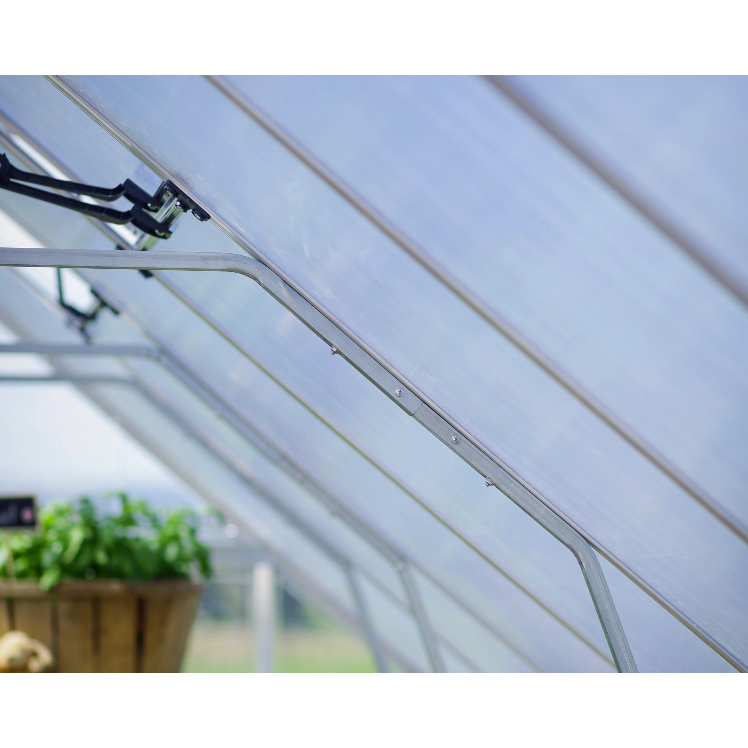Innenansicht Palram Canopia Balance Gewächshaus mit Polycarbonat-Paneelen und Aluminiumrahmen.