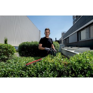 Mann schneidet Hecke mit Metabo Akku-Heckenschere HS 18 LTX BL 75. Leistungsstark und kabellos.