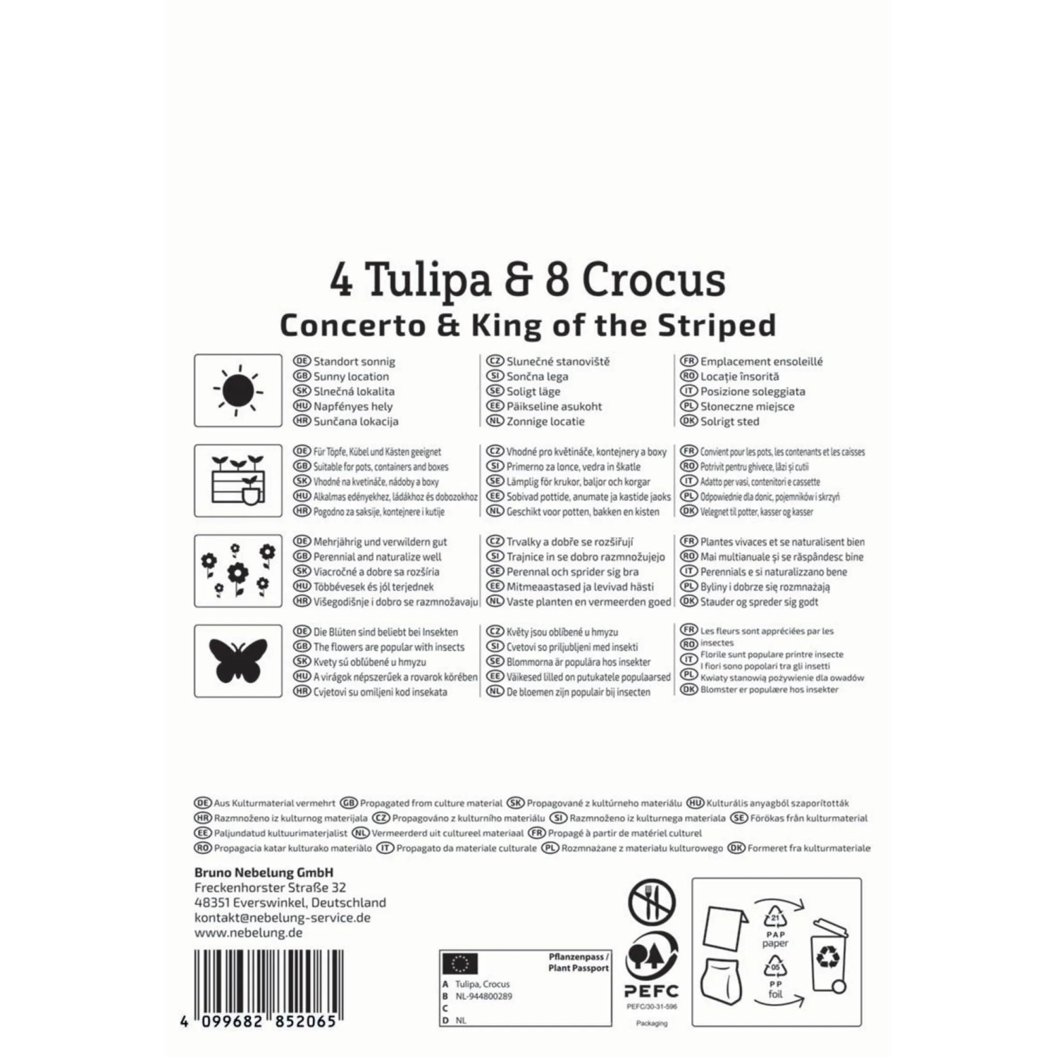 Kiepenkerl Blumenzwiebel-Mix Springtime, 12 Stück: Krokusse und Tulpen für den Frühlingsgarten.