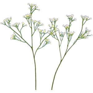 Zwei Stiele Kunstblume Gypsophilia Schleierkraut mit kleinen weißen Blüten, 57 cm hoch.