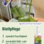 Compo Blattpflege für Orchideen, 250ml Pumpspray zur Befeuchtung und Pflege der Orchideenblätter.