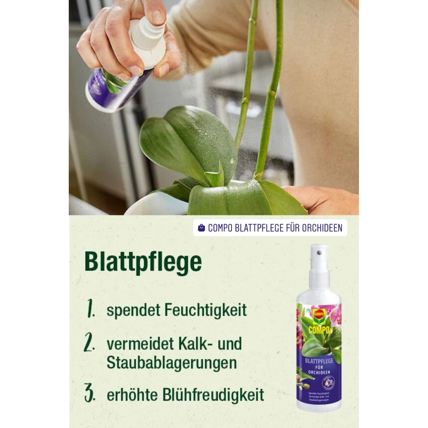 Compo Blattpflege für Orchideen, 250ml Pumpspray zur Befeuchtung und Pflege der Orchideenblätter.