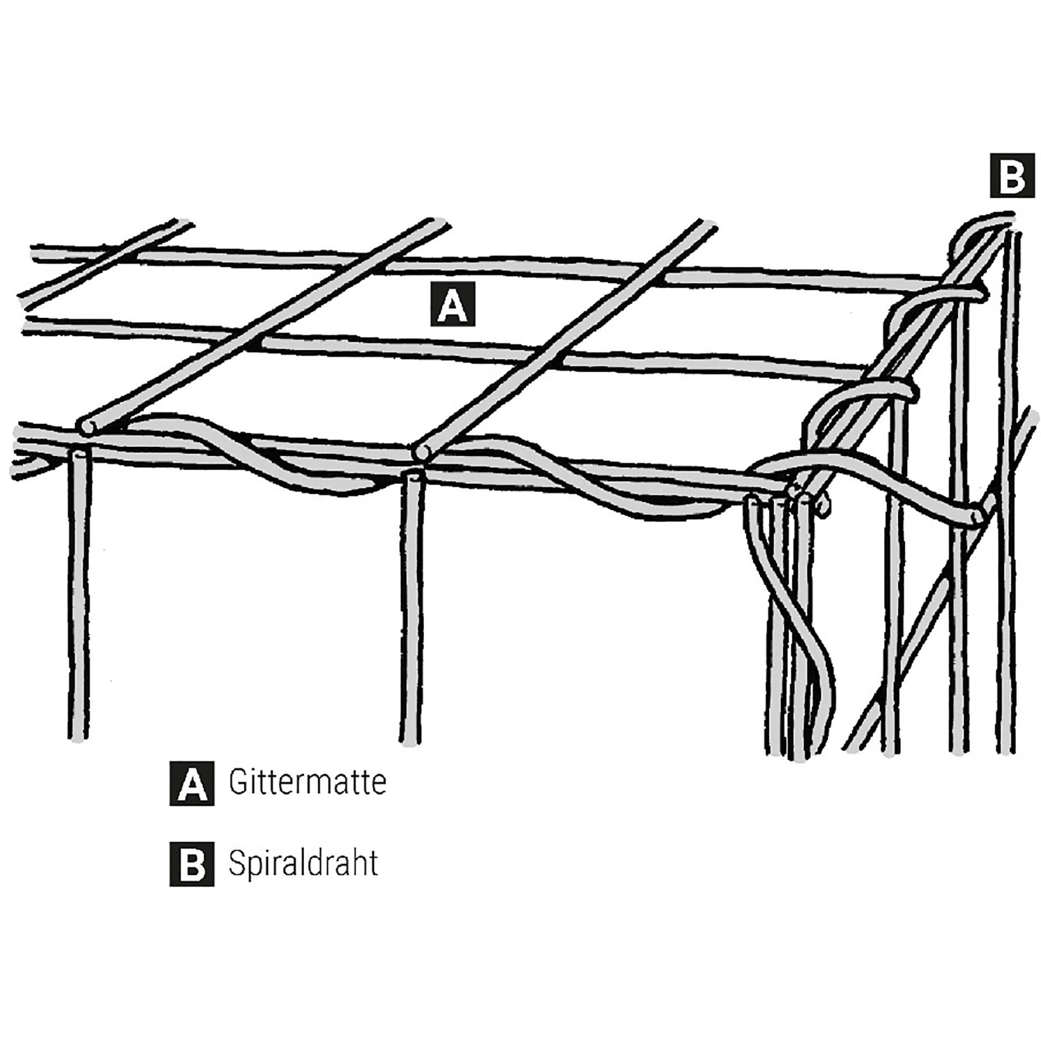 Skizze einer Scherf Spiral-Gabione mit Gittermatte (A) und Spiraldraht (B).