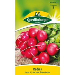 Quedlinburger Radies 'Saxa 2' Samen für frühe Ernte, knackig und rot.